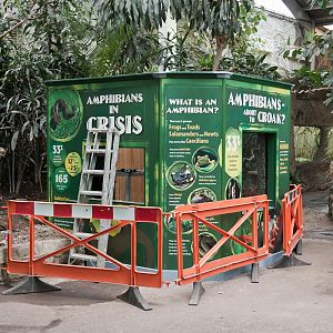 Blot on the Tropical Landscape - 24/01/2012