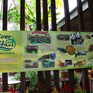 The River is Calling