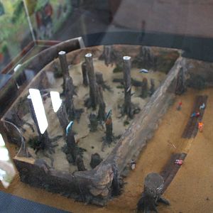 Scale model - Amazon Flooded Forest