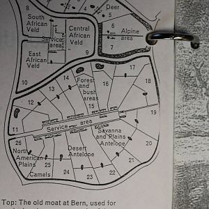 Design for the original hoofstock exhibits