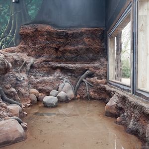 Inside the Giant Otter Building - 27/01/2012