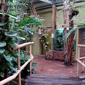 28.01.2012 Zoo Wrocław