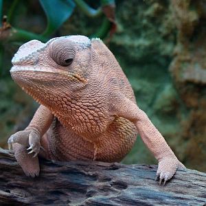 28.01.2012 Zoo Wroclaw