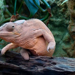 28.01.2012 Zoo Wroclaw