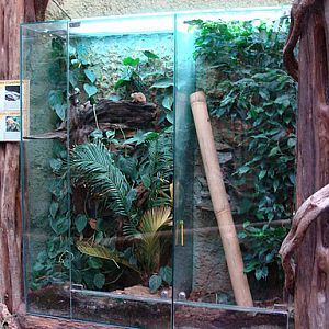 28.01.2012 Zoo Wroclaw