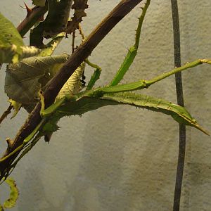 28.01.2012 Zoo Wroclaw