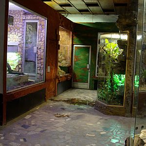 28.01.2012 Zoo Wroclaw