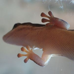 28.01.2012 Zoo Wroclaw