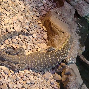 28.01.2012 Zoo Wroclaw