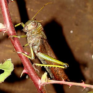 28.01.2012 Zoo Wroclaw