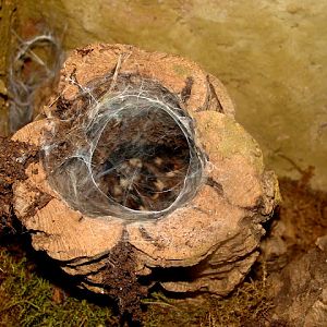 28.01.2012 Zoo Wroclaw