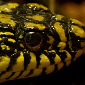 28.01.2012 Zoo Wroclaw