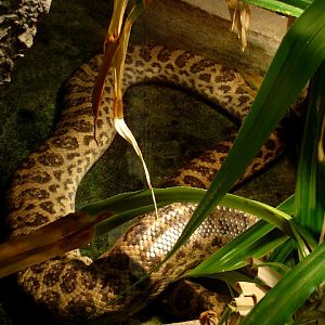 28.01.2012 Zoo Wroclaw