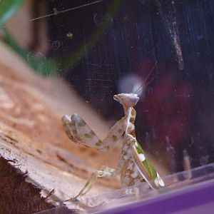 28.01.2012 Zoo Wroclaw