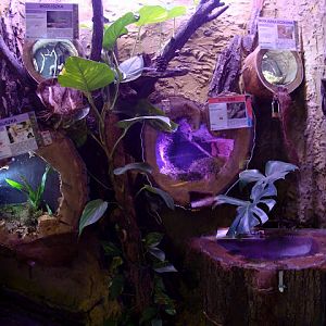 28.01.2012 Zoo Wroclaw