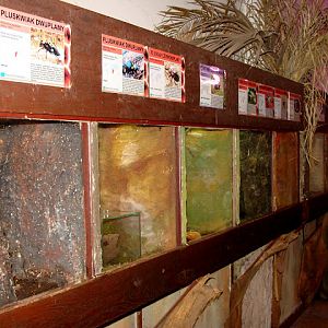 28.01.2012 Zoo Wroclaw