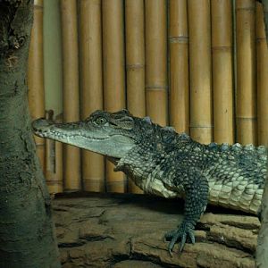 28.01.2012 Zoo Wroclaw