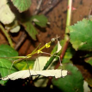 28.01.2012 Zoo Wroclaw