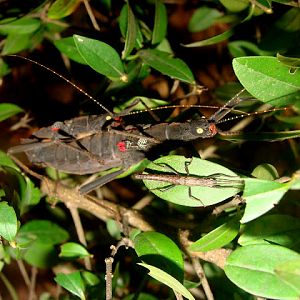 28.01.2012 Zoo Wroclaw