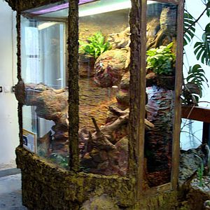 28.01.2012 Zoo Wroclaw