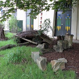 ZOO Antwerpen - Egyptian Temple (Duiker)