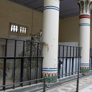 ZOO Antwerpen - Egyptian Temple (Duiker)