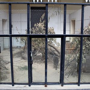 ZOO Antwerpen - Egyptian Temple (Duiker)