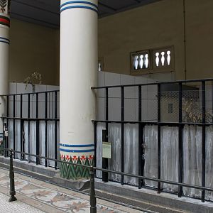 ZOO Antwerpen - Egyptian Temple (Duiker)