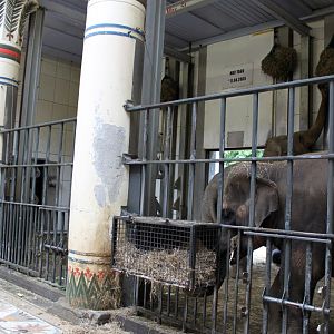ZOO Antwerpen - Egyptian Temple (Elephant)