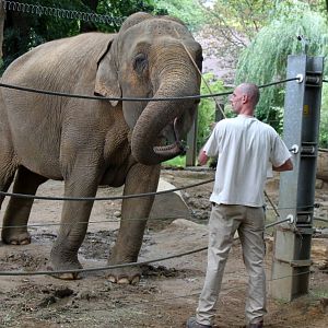 ZOO Antwerpen - Egyptian Temple (Elephant)