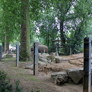 ZOO Antwerpen - Egyptian Temple (Elephant)