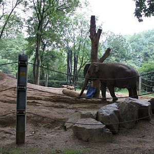 ZOO Antwerpen - Egyptian Temple (Elephant)