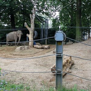 ZOO Antwerpen - Egyptian Temple (Elephant)