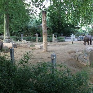 ZOO Antwerpen - Egyptian Temple (Elephant)