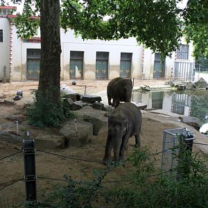 ZOO Antwerpen - Egyptian Temple (Elephant)