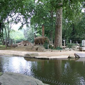 ZOO Antwerpen - Egyptian Temple (Elephant)