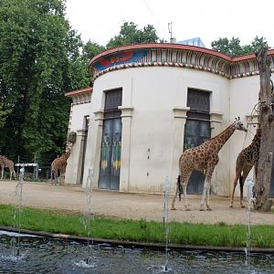 ZOO Antwerpen - Egyptian Temple (Giraffe)