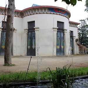 ZOO Antwerpen - Egyptian Temple (Giraffe)