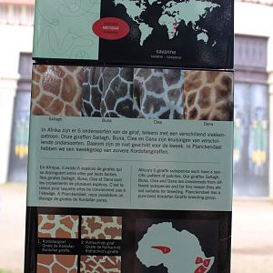 ZOO Antwerpen - Giraffe signage