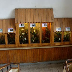 28.01.2012 Zoo Wroclaw