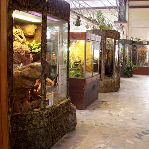 28.01.2012 Zoo Wroclaw