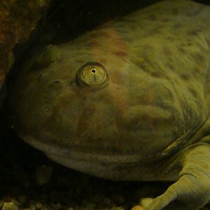 28.01.2012 Zoo Wroclaw