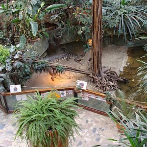 28.01.2012 Zoo Wroclaw