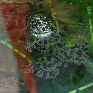 28.01.2012 Zoo Wroclaw