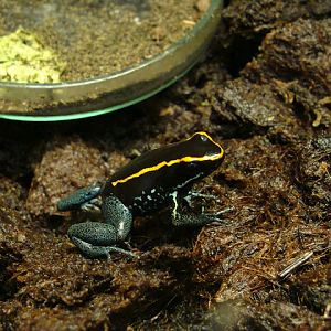 28.01.2012 Zoo Wroclaw