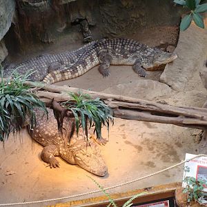 28.01.2012 Zoo Wroclaw