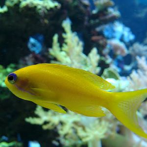 28.01.2012 Zoo Wroclaw