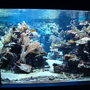 28.01.2012 Zoo Wroclaw