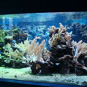 28.01.2012 Zoo Wroclaw