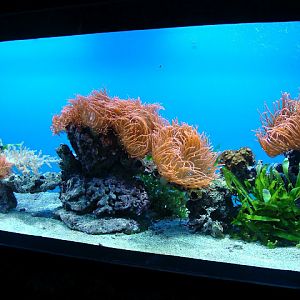 28.01.2012 Zoo Wroclaw